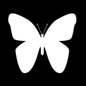 Butterfly Shape